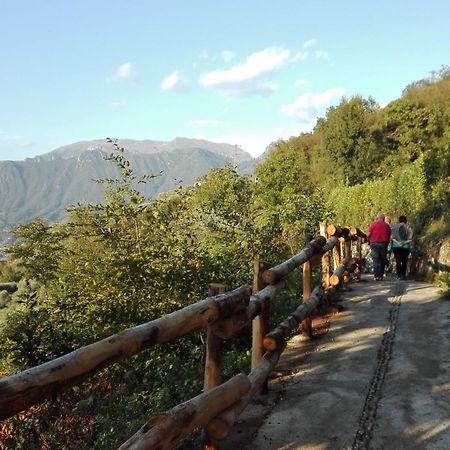 Agriturismo Cascina Lert Marone Kültér fotó